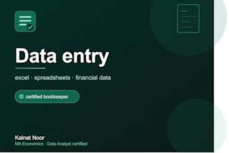do accurate data entry and excel work for your business