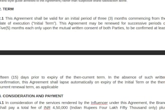 draft professional business contracts and agreements