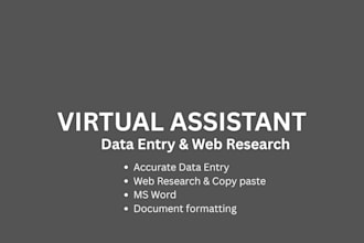 be your virtual assisant for data entry and web research