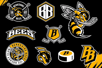 design a professional sports logo and brand identity for your team