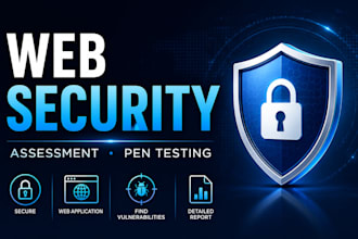perform web application security audit and penetration testing