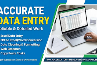 do accurate data entry,financial data cleaning,and excel spreadsheet