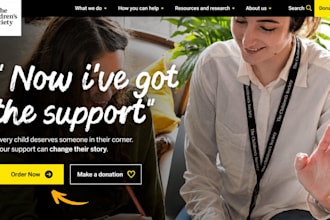design nonprofit website charity website ngo website 501c3 fundraising website