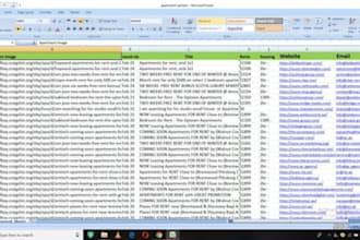 do professional data entry