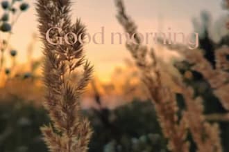 design 5 beautiful good morning whatsapp  stickers for you
