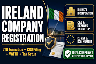 assist with ireland company registration cro filling vat support tax setup