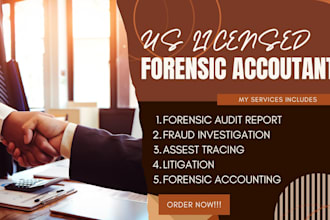 do forensic audit, accounting, court case, asset tracing, fraud investigation
