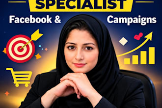 setup and optimize facebook and instagram ads campaign
