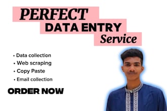 messy data cleaning, excel formatting, and bulk data entry