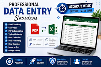 do accurate data entry excel and pdf coversion