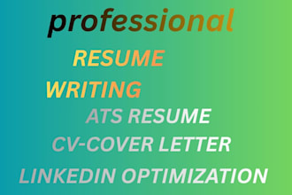 craft a professional executive resume and CV