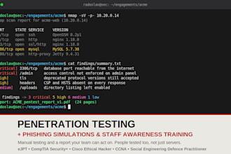 do a professional penetration test and security assesment