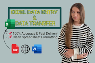 do accurate data entry and data transfer into excel
