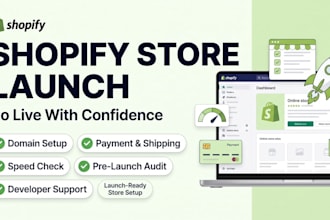 launch shopify store, setup shopify speed, shopify store audit shopify developer