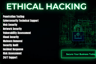 perform professional cybersecurity and penetration testing