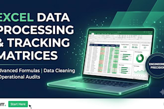 build technical excel sheets, tracking matrices, and data workflows