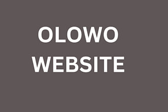 design olowo website that functions