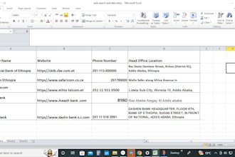 professional data entry and excel data cleaning