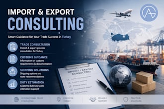 provide import and export consulting in turkey