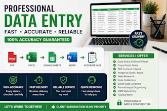 do data entry excel data entry PDF to excel copy paste