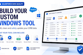 build a custom windows tool to improve salesforce data quality