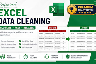 do data cleaning and excel cleanup professionally
