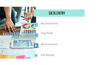 entrada de datos, formato y organizacion profesional en excel