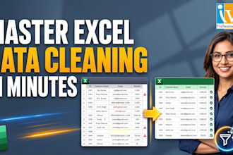 professionally clean excel data, remove duplicate and format spreadsheet