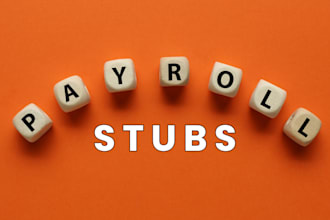 make payroll stubs for you