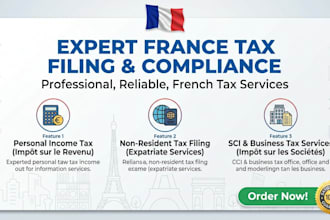 file your france tax return as an expert french tax preparer