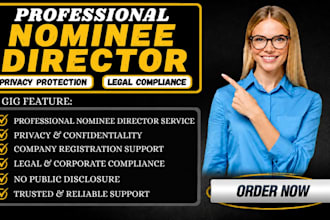 provide USA, UK, german, hong kong nominee director service