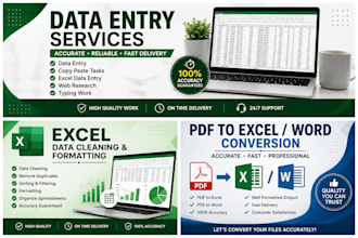 do data entry, excel and data cleaning