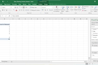 clean messy data and create dynamic excel interactive dashboards