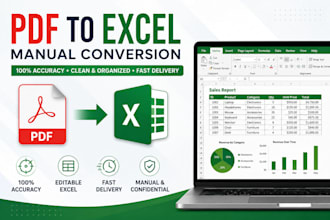 manually convert PDF to excel