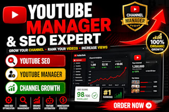 be your youtube manager,  SEO expert, and channel manager