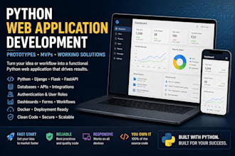 build a working python web application prototype or mvp