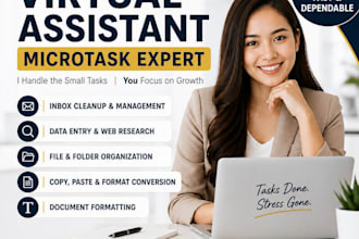 assist in inbox cleanup data entry and admin micro tasks
