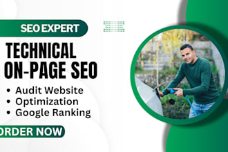 do on page SEO geo aeo audit and optimization for wordpress, shopify, wix