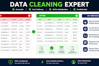 do data entry and data cleaning