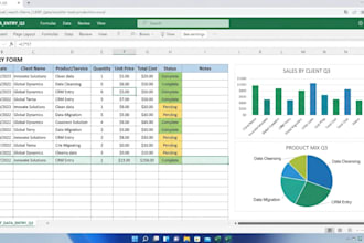 expert excel data entry