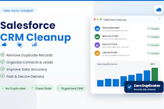 clean, organize and optimize your salesforce CRM