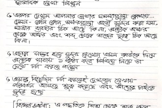 write professional article and blog posts and translation