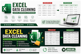 do expert ms excel data cleaning, formatting, and organization