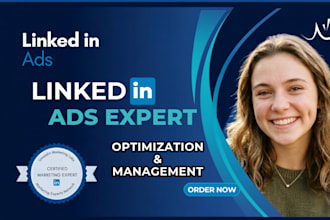 design setup manage,and optimize highly targeted linkedln ads