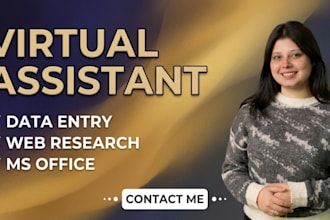 be your professional virtual assistant for microsoft office and research