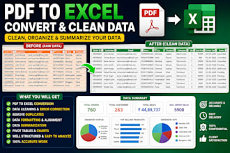 convert PDF to excel clean and summarize data
