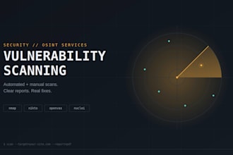 perform a professional vulnerability scan on your website or network
