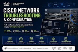 troubleshoot enterprise network issues