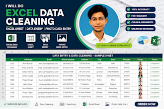 excel data entry, data cleaning, PDF to excel, copy paste