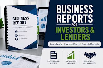 write comprehensive business reports for investors and lenders